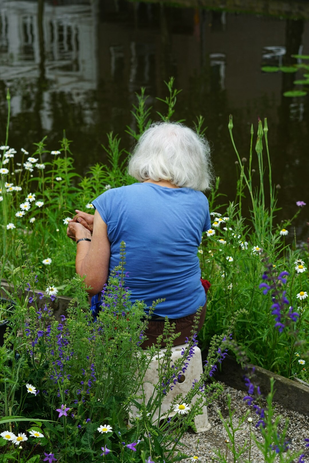 old man in garden